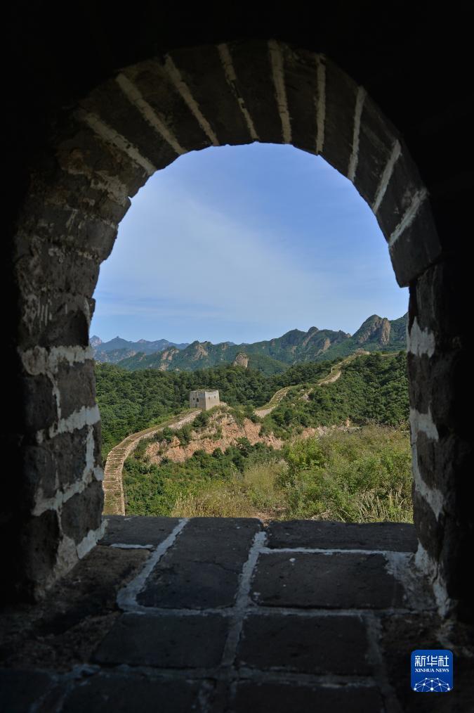 千炮打鲨鱼